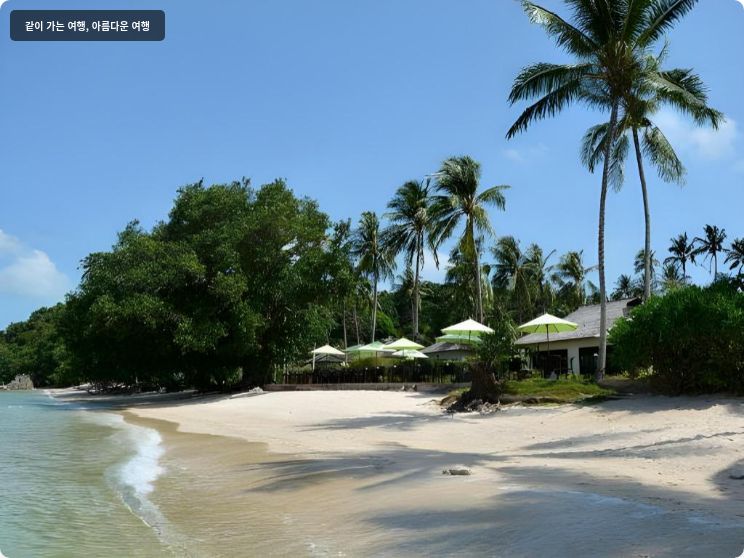 글로우 엘리시어 코 야오야이 (SHA Extra Plus) 이미지