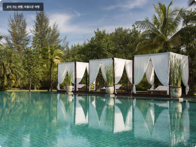 더 사로진 이미지