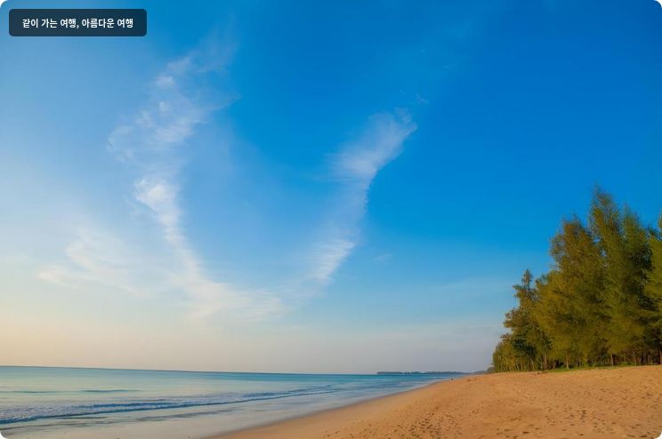 더 사로진 이미지