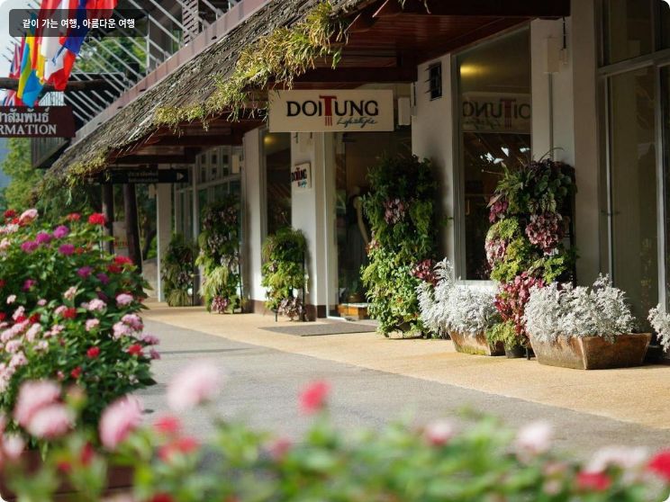 도이 퉁 로지 이미지