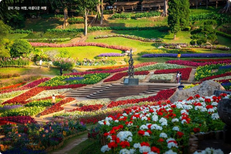 도이 퉁 로지 이미지