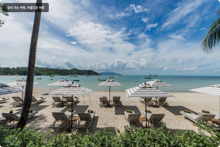 멜리아 코사무이 이미지