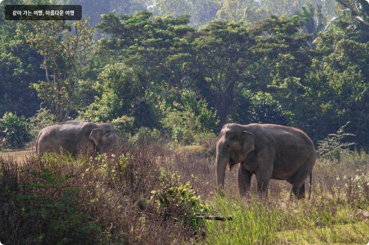 쉐라톤 후아힌 리조트 앤 스파 이미지