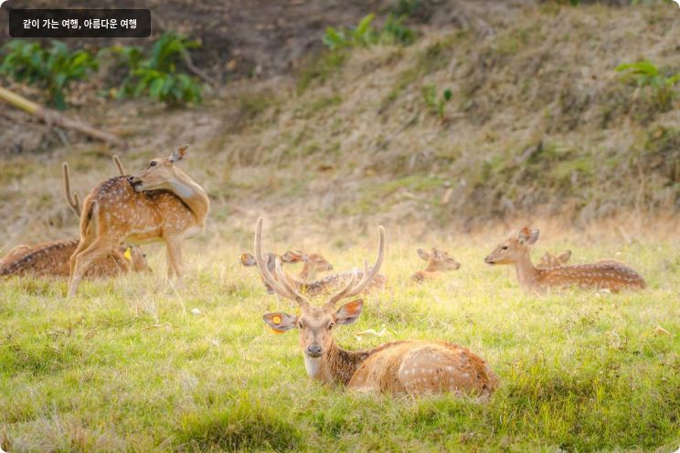 카틸리야 마운틴 리조트 앤 스파 이미지