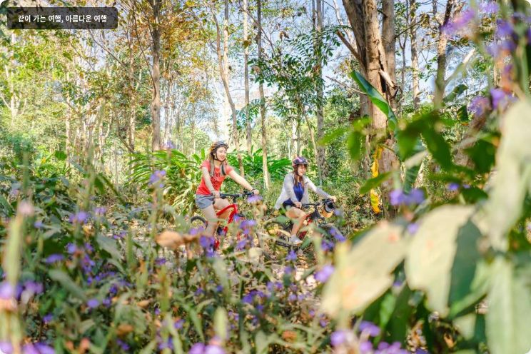 카틸리야 마운틴 리조트 앤 스파 이미지