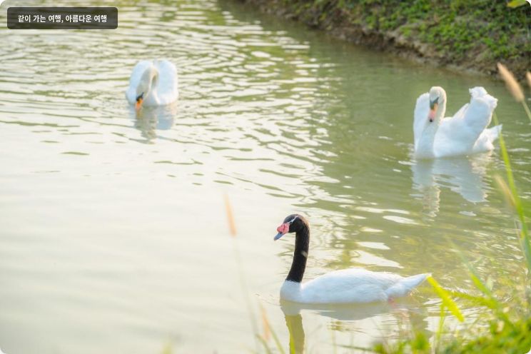 카틸리야 마운틴 리조트 앤 스파 이미지