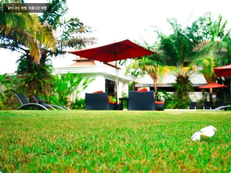 팜 그로브 리조트 이미지