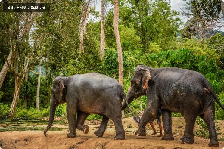 Baan Haad Ngam Boutique Resort & Villa 이미지